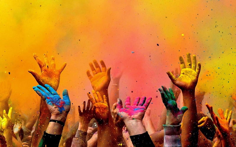 Festival Boja